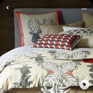 West Elm Queen Duvet and 2 Euro Shams and 2 Standard Shams